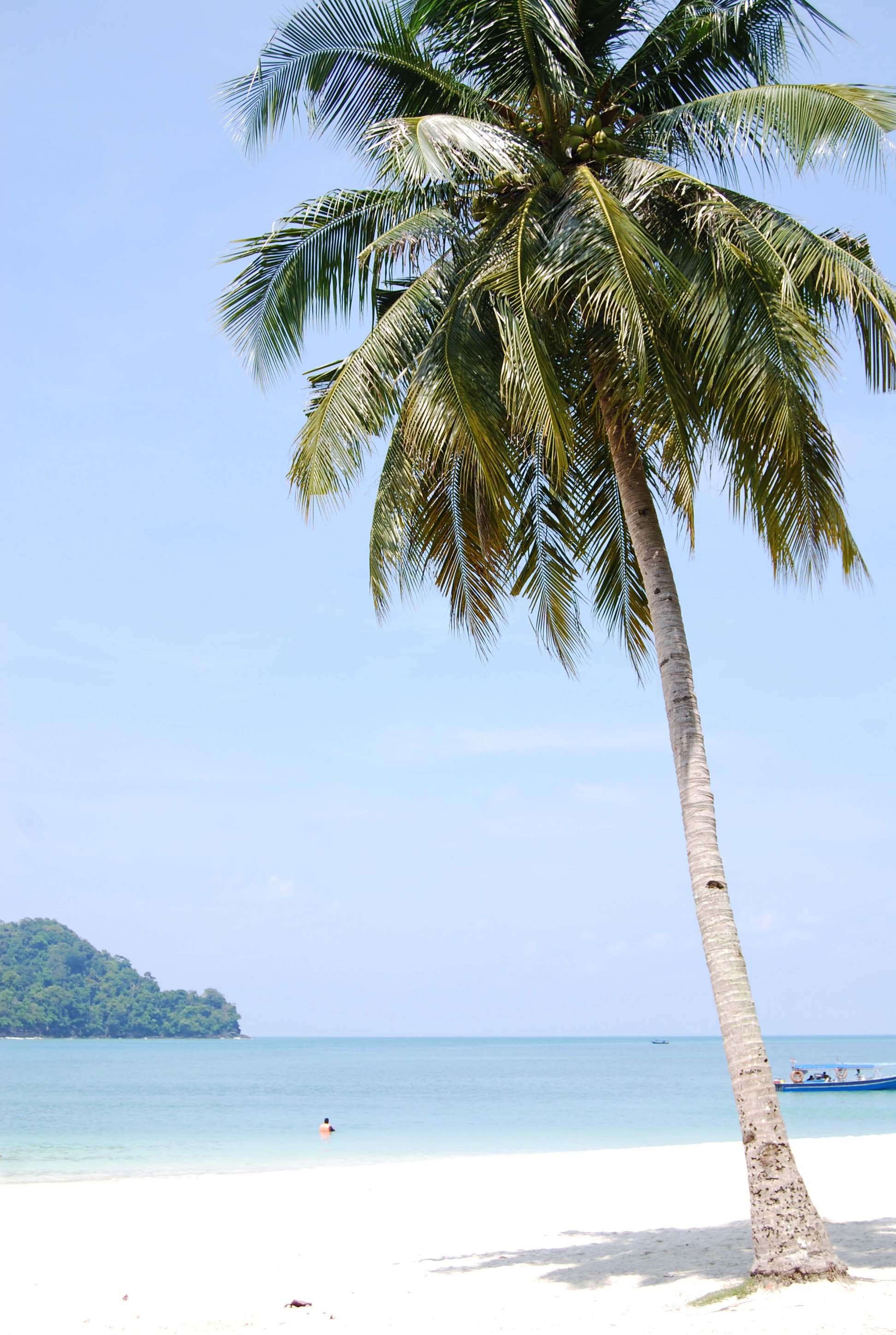 Travel: Bon Ton and Temple Tree, Langkawi, Malaysia - cate st hill