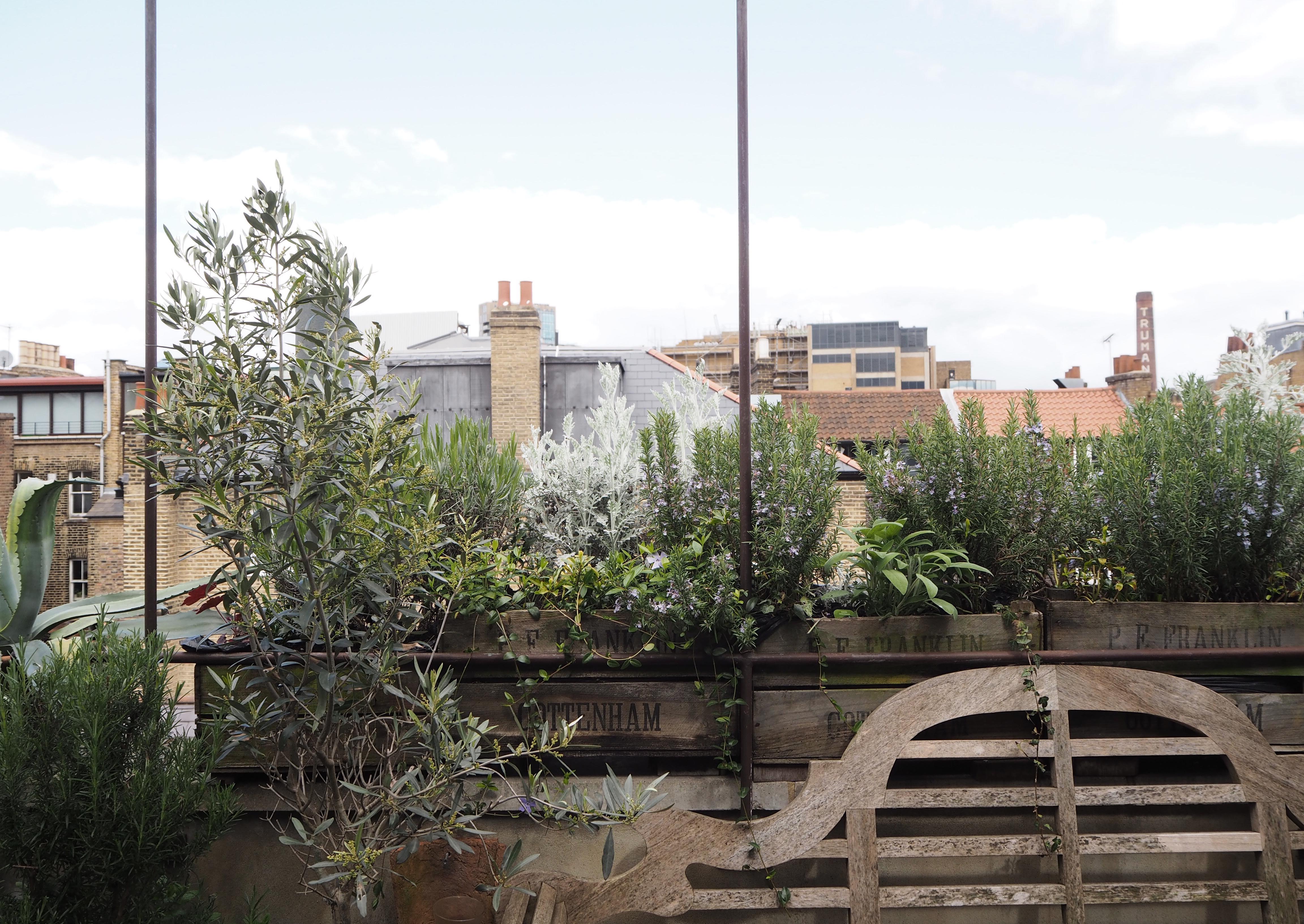 Sneak peek inside a Georgian townhouse in Spitalfields