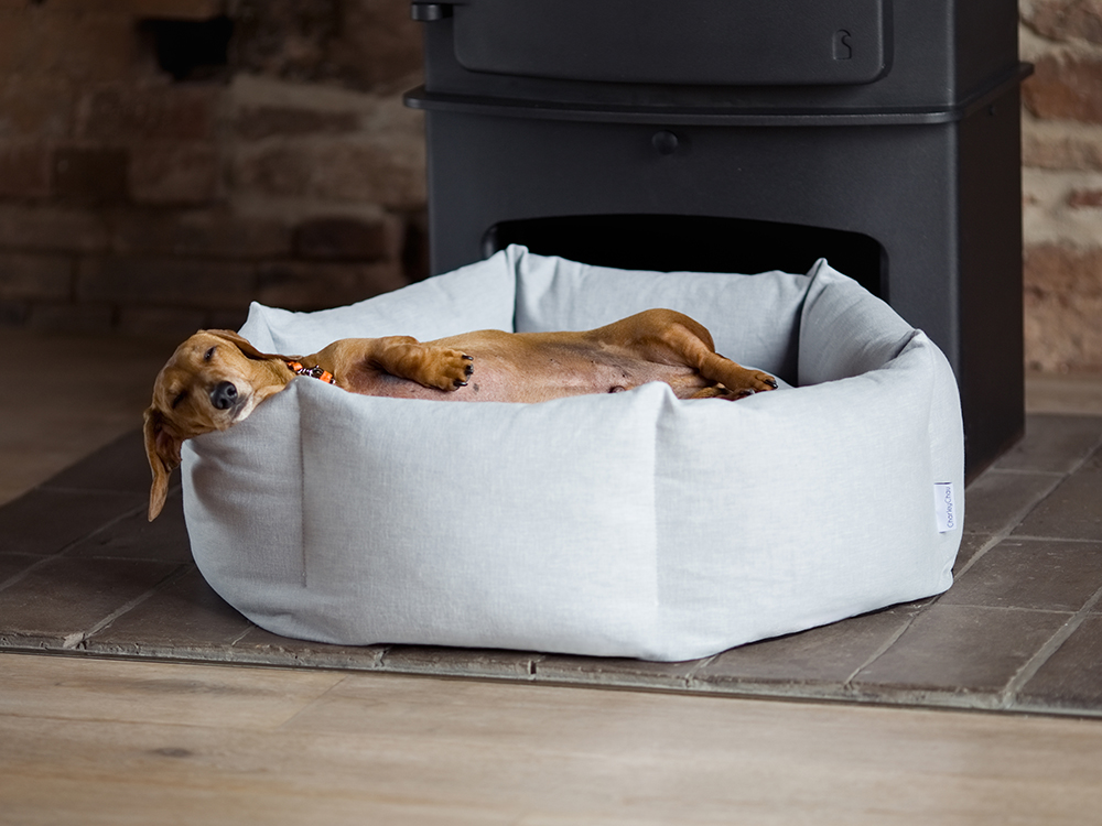 ducky donut dog bed